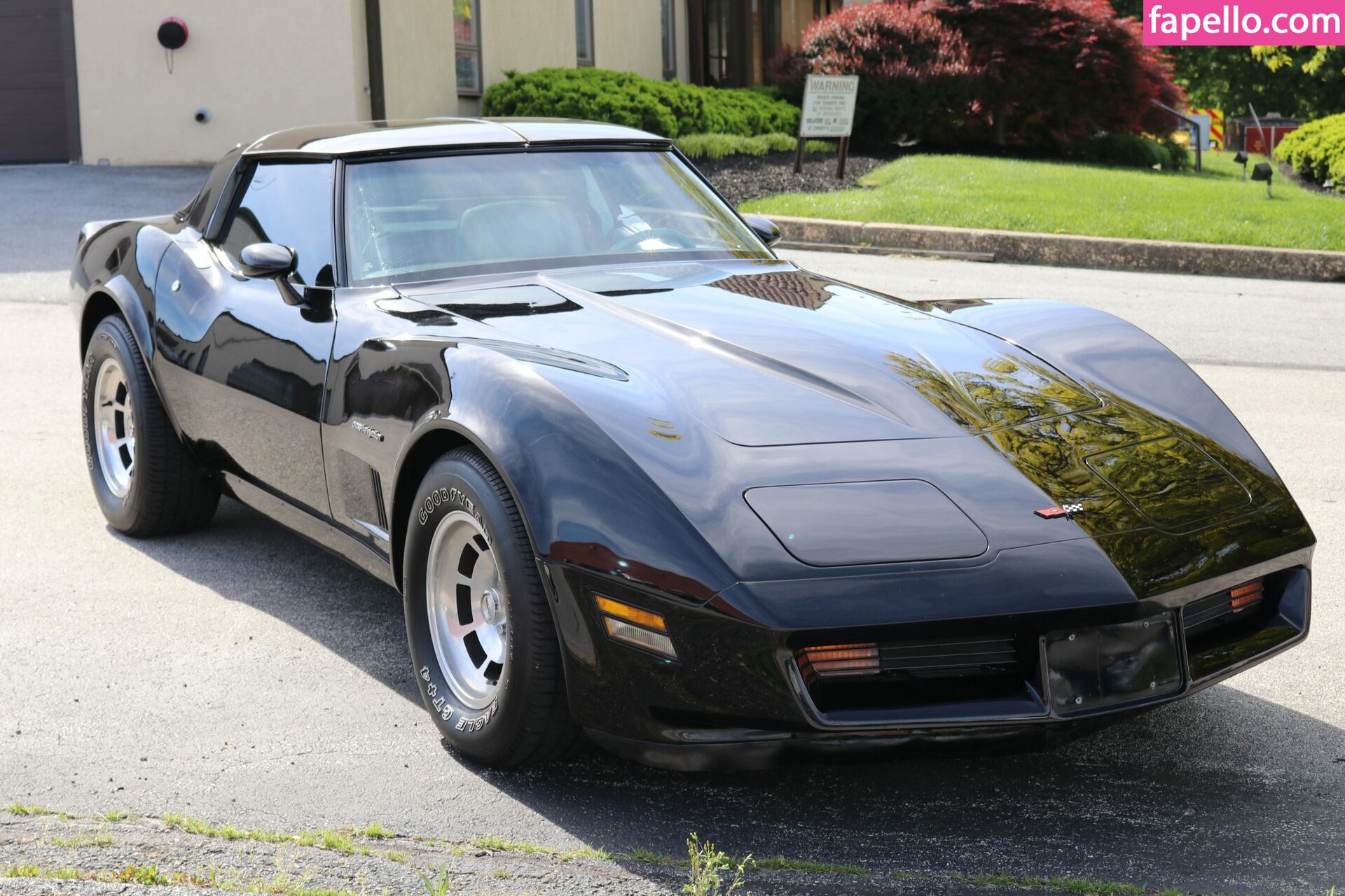 1982.corvette Nude Leaked OnlyFans Photo #9