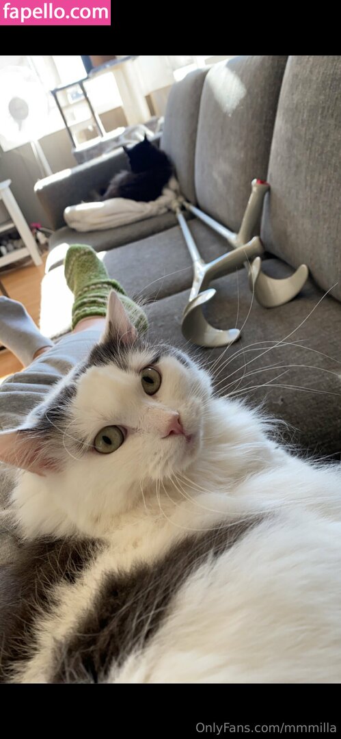 mmmilla Nude Leaked OnlyFans Photo #1