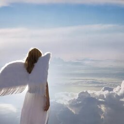 Angel404